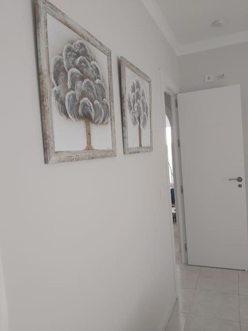 360° Seaview Benalbeach Apartment Benalmádena Eksteriør bilde